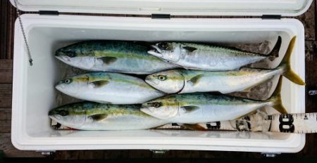 火遠理丸（ほおりまる） 釣果