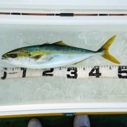 火遠理丸（ほおりまる） 釣果