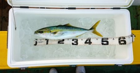 火遠理丸（ほおりまる） 釣果