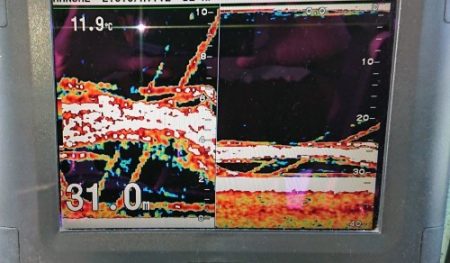 火遠理丸（ほおりまる） 釣果