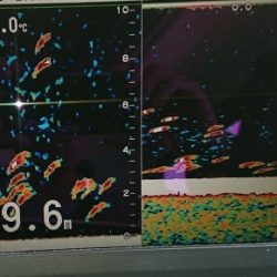 火遠理丸（ほおりまる） 釣果
