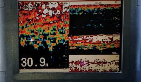 火遠理丸（ほおりまる） 釣果