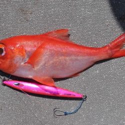 へいみつ丸 釣果