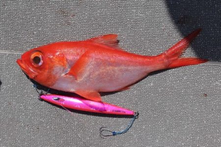 へいみつ丸 釣果