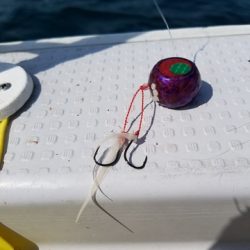 遊漁船 ニライカナイ 釣果