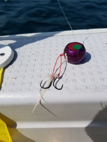 遊漁船 ニライカナイ 釣果