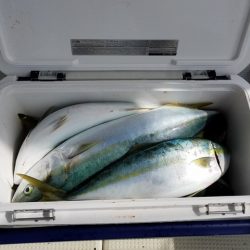 遊漁船　ニライカナイ 釣果