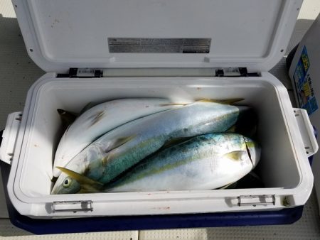 遊漁船　ニライカナイ 釣果