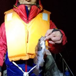 Magic（マジック） 釣果