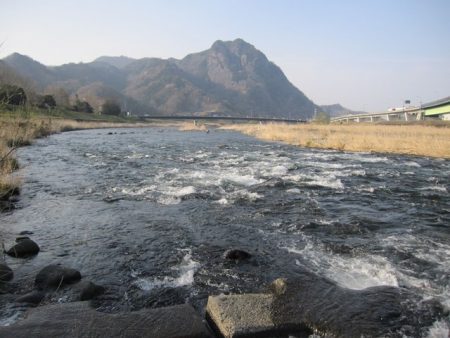 狩野川(狩野川漁業協同組合) 釣果