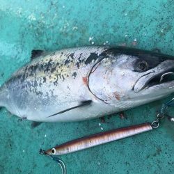 広進丸 釣果