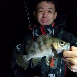 Magic（マジック） 釣果