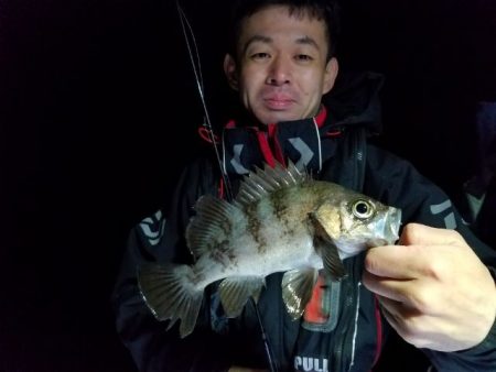 Magic（マジック） 釣果