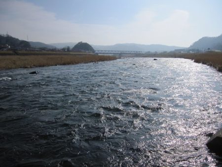 狩野川（狩野川漁業協同組合） 釣果