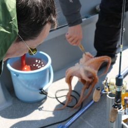 へいみつ丸 釣果