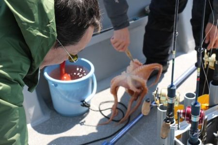 へいみつ丸 釣果