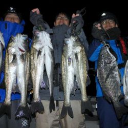 TOPGUN名古屋 釣果