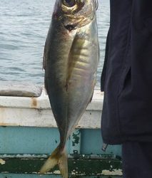 松福丸 釣果
