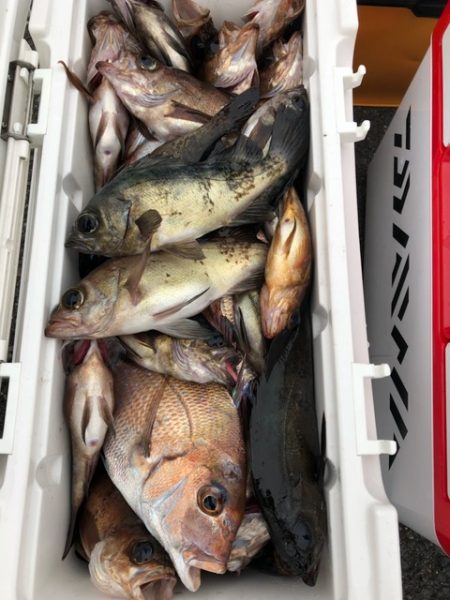 第二辰丸 釣果