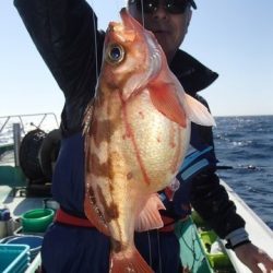 第二むつ漁丸 釣果