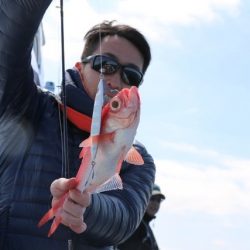 へいみつ丸 釣果