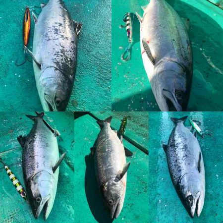 広進丸 釣果