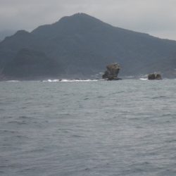 開進丸 釣果