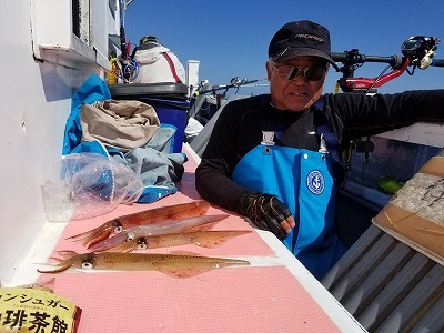しまや丸 釣果