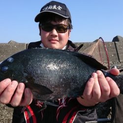 坂下丸 釣果