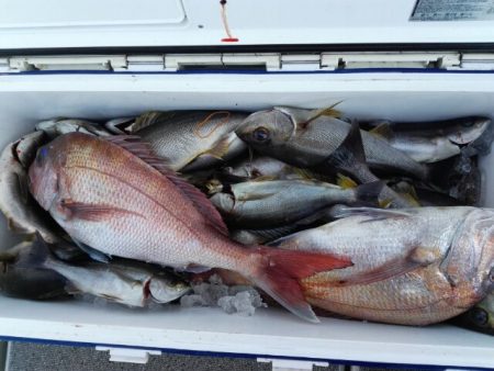 第二大福丸 釣果