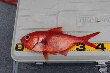 へいみつ丸 釣果