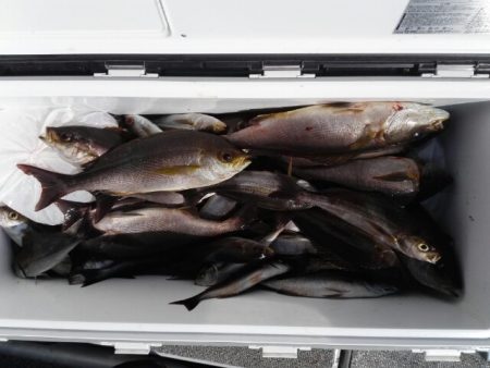 第二大福丸 釣果