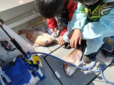 IDATEN（イダテン） 釣果