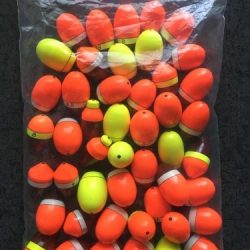 鵜来島家本渡船 釣果