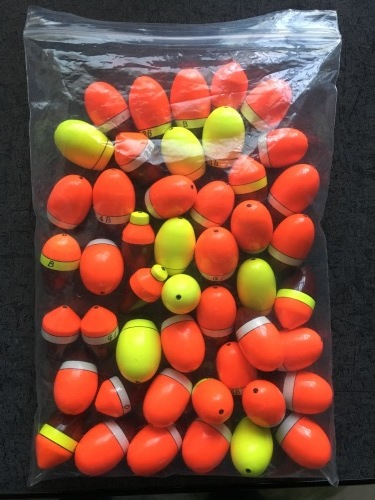 鵜来島家本渡船 釣果