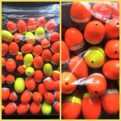 鵜来島家本渡船 釣果