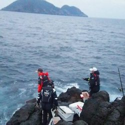 鵜来島家本渡船 釣果