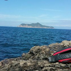 鵜来島家本渡船 釣果