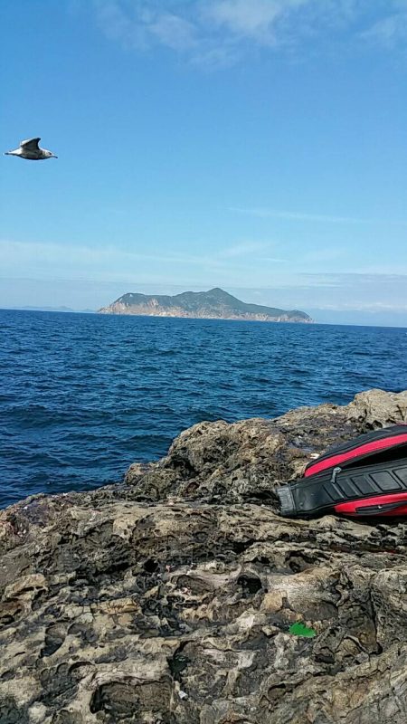 鵜来島家本渡船 釣果