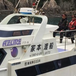 鵜来島家本渡船 釣果