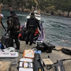 鵜来島家本渡船 釣果