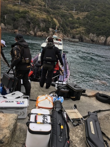 鵜来島家本渡船 釣果