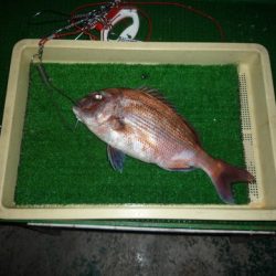 海山フィッシングセンター 釣果