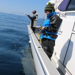 へいみつ丸 釣果
