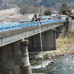 狩野川（狩野川漁業協同組合） 釣果