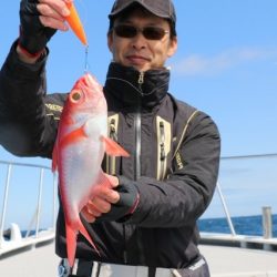へいみつ丸 釣果