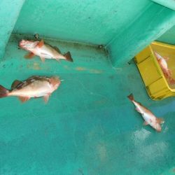 第二むつ漁丸 釣果