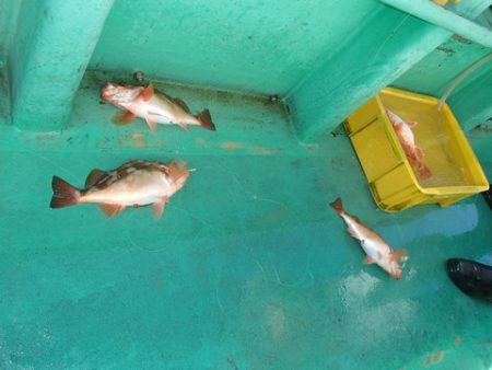 第二むつ漁丸 釣果