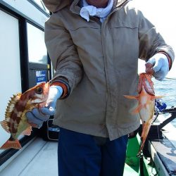 第三むつりょう丸 釣果