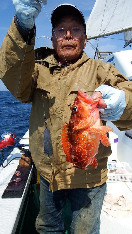 第三むつりょう丸 釣果